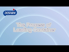 엄격 한 표준화 된 운송 과정